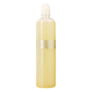 sciroppo abaca cocco 1kg
