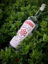 MAGNOLIA PREMIUM SICILIAN GIN CL70